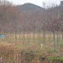 완산-125 이미지