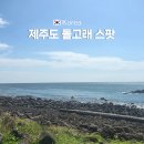 영락리 | 제주도 돌고래 스팟 시간 영락리 방파제에서 돌고래 본 후기