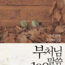 고운:결 이미지