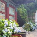 삼학 이미지