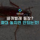 대전 건물방역 개인 가정집 주택소독 잘하는업체 추천! 바퀴벌레 퇴치!
