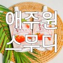 애주원 티스토리