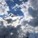 숲속에서 캠핑장 이미지