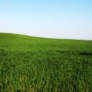 장성당구장 이미지