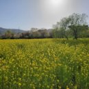 다온앤틱카페 이미지