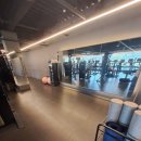 허슬짐 | 신도림헬스장 허슬짐 신도림 후기! PT로 라운드숄더&amp;거북목 극복하기