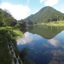 선유동1로 이미지