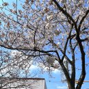 씨유 서귀호근점 이미지