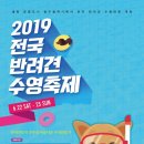 물만난 강아지 이미지