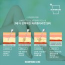 캣솔루션 이미지