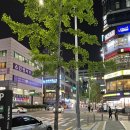 G.M 노래연습장 이미지