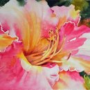 컬러풀 수채화 이미지