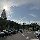 스타벅스 계룡대실 DT점 포장 후기