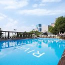 마이펫 부티크 이미지