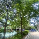 광교에듀하임공인중개사사무소 | [미스튜디오] 광교속눈썹펌 너무 예쁘게 해주는 곳! &gt;▽&lt;//