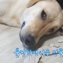 진복농장 이미지