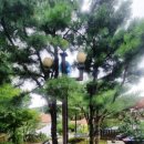 영흥도스크린골프독채펜션 이미지