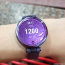 한신스포렉스 이미지