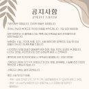 코지코너 네이버블로그