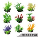 삼호수족관