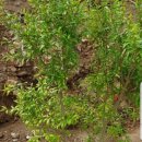 산이네농장 이미지