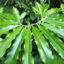 농협본점 이미지