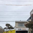 세화떡집 이미지