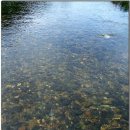 청도매운탕 이미지