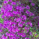 홍천팬션위드엘 이미지