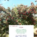 보스노래방 이미지