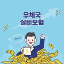 실비