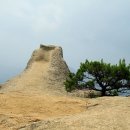 외곡천 Daum카페