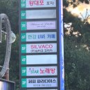 퍼피파라다이스 이미지