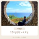 하슬라뮤지엄호텔 | 하슬라아트월드 뮤지엄호텔 강릉 숙소 추천