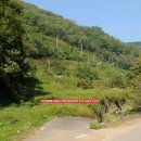 매남농장 이미지