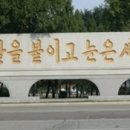 흥성식당 이미지