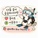 순여사네 | 보홀 디프리 호핑투어 후기｜프리다이빙 곁들인 발리카삭 거북이 투어