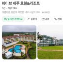 웨이브호텔 | [여행/제주] 웨이브 제주 호텔 &amp; 리조트 숙박 후기 | 제주 서쪽 수영장 호텔 추천