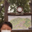 가온덴탈 | (협찬)쿡플레이 가온덴탈마스크 숨쉬기 편한 국산마스크 이용후기