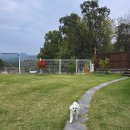 여주목욕탕 | 내돈내산 여주 애견팬션 독채팬션 구름멍스테이 대만족후기