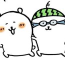 카페티제이