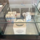 [광주] 수완지구 신상카페 디저트 맛집 펄키하우스