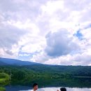 -Meditation 차훈명상 세계, 仙海의 새벽 편지 (13) 역노화(Rejuvenation) — 야마나카 인자와 마음의 역분화 이미지