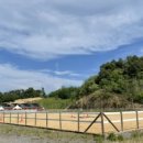 중원대학교 공공승마장 이미지