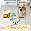 펫밀리 | 퍼핑 서포터즈 펫밀리 28기 웰컴박스 언박싱 후기