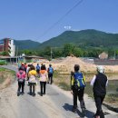 좌항1리 이미지