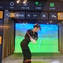 다람쥐풀스튜디오