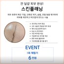 비비슈 - 서초구 | 창동브라질리언왁싱 첫 도전! 비비슈가링왁싱에서 받은 후기