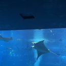 몽실멍실 이미지