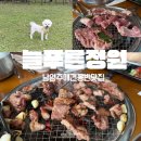 남양주 애견동반가능 돼지갈비맛집 늘푸른정원 내돈내산 웨이팅